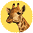 Evan