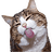 XSJYA